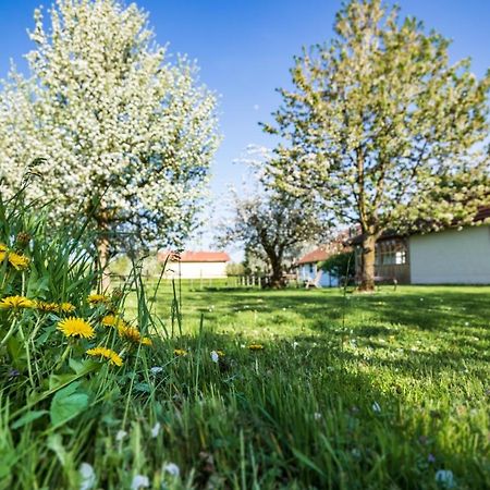 Landhaus Kreileder Bad Griesbach  Ngoại thất bức ảnh